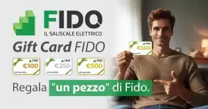 022224 gift card fido